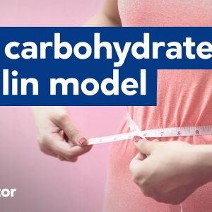 Landmark paper explores the carbohydrate insulin model of obesity