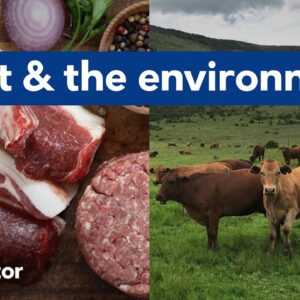 Eat meat AND care about the environment