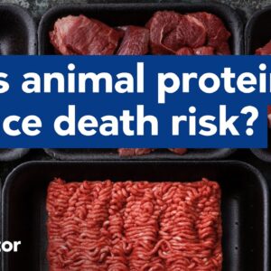 Animal protein reduces death risk