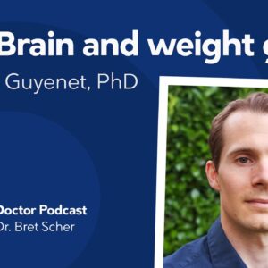 Your brain drives weight gain with Stephan Guyenet, PhD – Diet Doctor Podcast